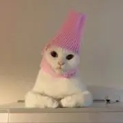meeeの画像