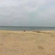ルークの画像