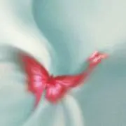 もちの画像