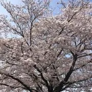 あきひさの画像