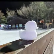 Minminの画像