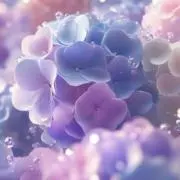 即購入OK⭐︎shelly⭐︎の画像
