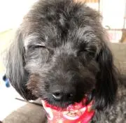⭐︎coco⭐︎の画像