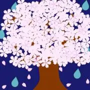 響(現在1件お取引中)の画像