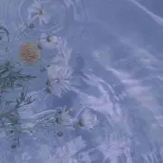 あかの画像