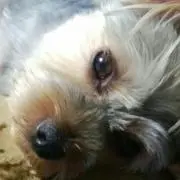 いた