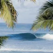 Ocean73の画像