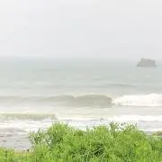CHIの画像