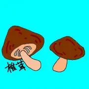 shiitake 52
