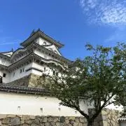 れんの画像
