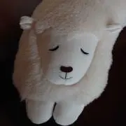 sweetバジルの画像