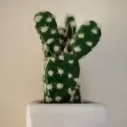 ☆maa☆の画像