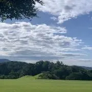 ヒカルの画像
