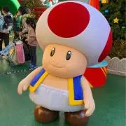 ぷんの画像