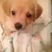 ルカ