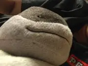 ゆいの画像