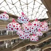 Usagiの画像