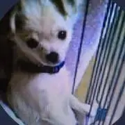hasky618
