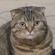 ひなとし☆プロフ必見☆の画像