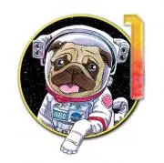 ナカノの画像
