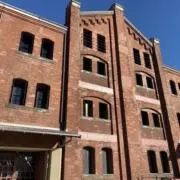 ヴァイス 地球生まれ銀河育ち スター・ロード RR 4枚セット - メルカリ