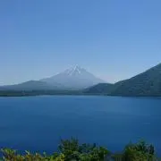 オムライスの画像