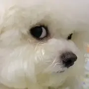 うゆよりの画像