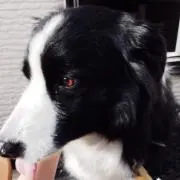 ワ
