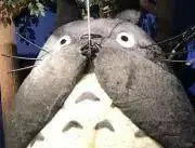 こたつねこの画像