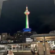 わさびの画像
