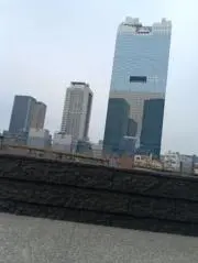 Y0TAの画像