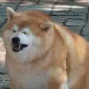 まこの画像