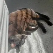 ひとみ