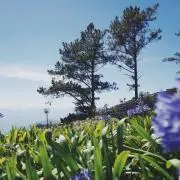 Erieの画像