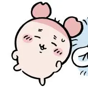 まりもの画像