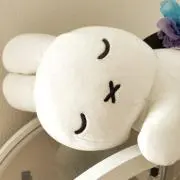 ぎんかの画像