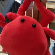 おもちの画像