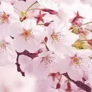 ♡U♡(ゆう)の画像