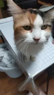 もちきち。の画像
