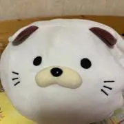 ゆーぽんの画像