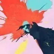 kaichiの画像