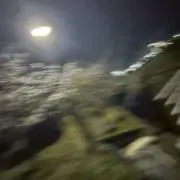 まるおの画像