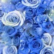 きてぃ♡の画像