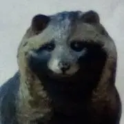 狸昇天の画像