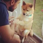 どんちゃん