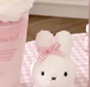 アメショ猫