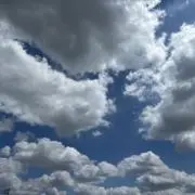プシュパ(断捨離中)の画像