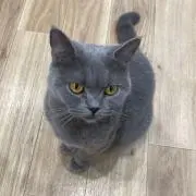 3226の画像