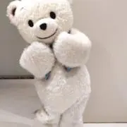 XXXねこの画像