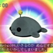 こんぶの画像